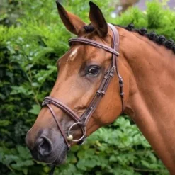 Bridon Paris - Collection One - Jump'in