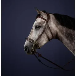 Bridon pour hackamore New English Collection - Dy'on