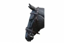 Bridon Pretty avec une muserolle combinée JMR