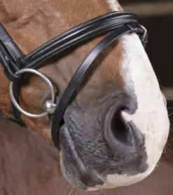 Bridon pro fin - Norton