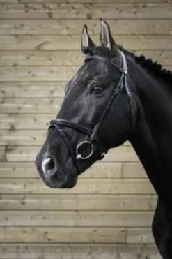 Bridon pro fin - Norton