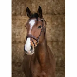 Bridon Pro Miss Marron - Norton