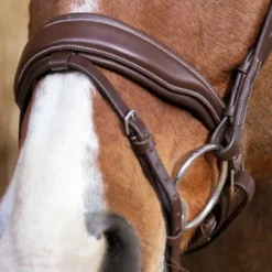 Bridon Pro Miss Marron - Norton