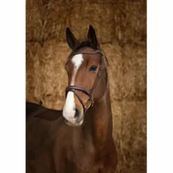 Bridon Pro Perle Marron - Norton