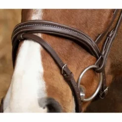Bridon Pro Perle Marron - Norton