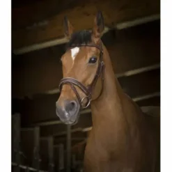 Bridon Pro Rock Marron - Norton