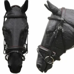 Bridon Quentin JMR avec muserolle croisée pull-back