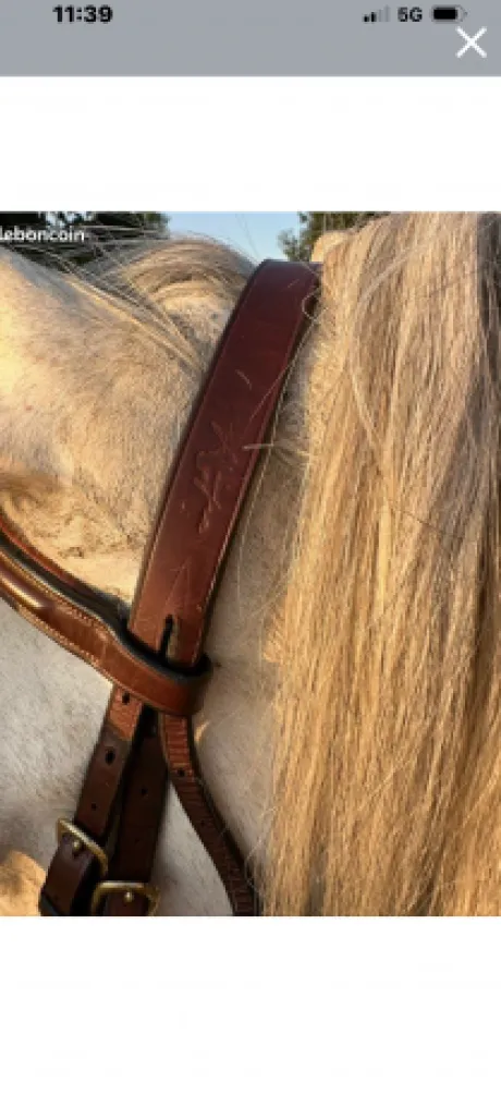 Bridon équipe emporio