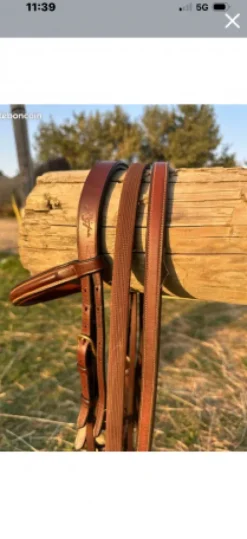 Bridon équipe emporio