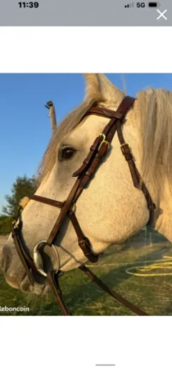 Bridon équipe emporio