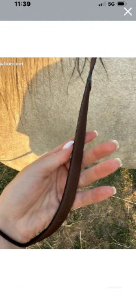 Bridon équipe emporio