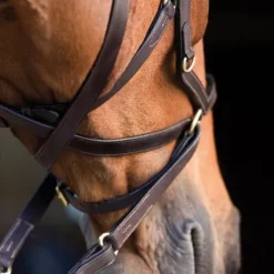 Bridon Rambo Micklem 2 Multibride - Horseware