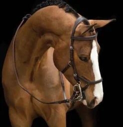 Bridon Rambo Micklem Competition - Horseware - confort optimal