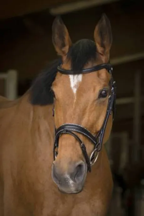 Bridon rock - Norton