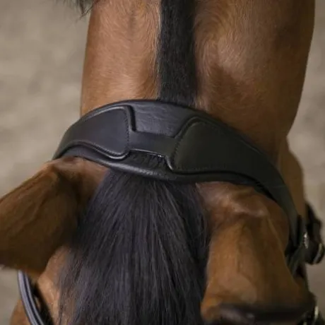 Bridon rock - Norton