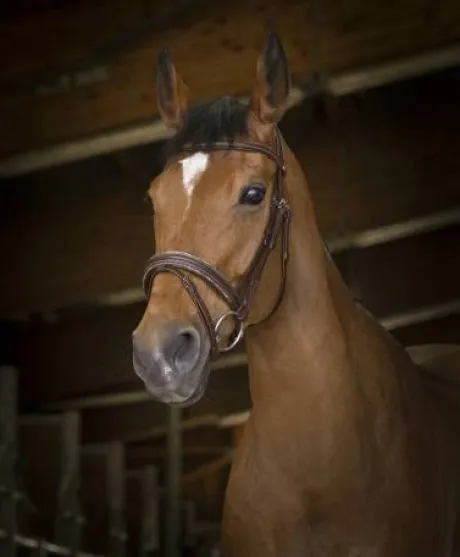 Bridon rock - Norton