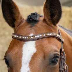 Bridon Soft Bombastic Crystals - HARRY'S HORSE