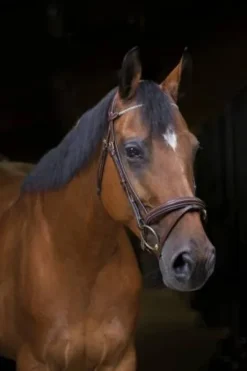 Bridon Strass Pro - Eric Thomas