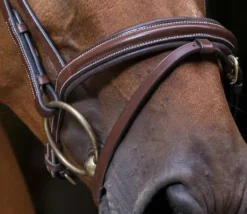 Bridon Strass Pro - Eric Thomas