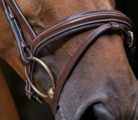 Bridon Strass Pro - Eric Thomas