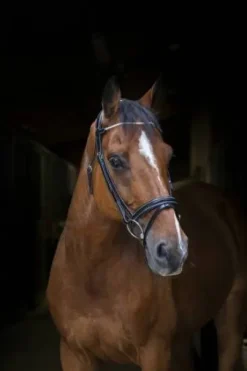 Bridon Strass Pro - Eric Thomas