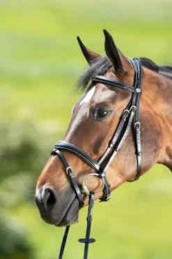 Bridon Technical HFI