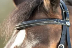 Bridon Technical HFI