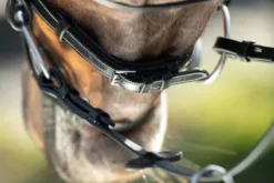 Bridon Technical HFI