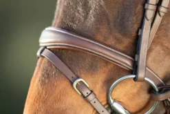 Bridon Technical HFI