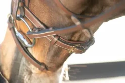 Bridon Technical HFI