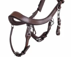 Bridon technique Faysport Presteq