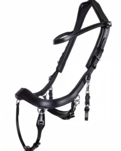 Bridon technique Faysport Presteq