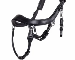 Bridon technique Faysport Presteq