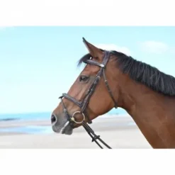 Bridon Tuesday muserolle combinée - Collection Week - Jump in