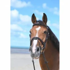 Bridon Tuesday muserolle combinée - Collection Week - Jump in