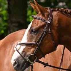 Bridon Tuesday muserolle combinée - Collection Week - Jump in