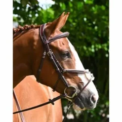 Bridon Tuesday muserolle combinée - Collection Week - Jump in