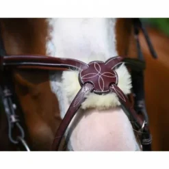 Bridon Tuesday muserolle combinée - Collection Week - Jump in