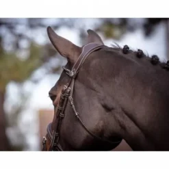 Bridon Wednesday muserolle combinée - Collection Week - Jump'in