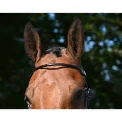 Bridon Wednesday muserolle combinée - Collection Week - Jump'in