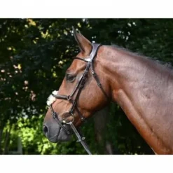 Bridon Wednesday muserolle combinée - Collection Week - Jump'in