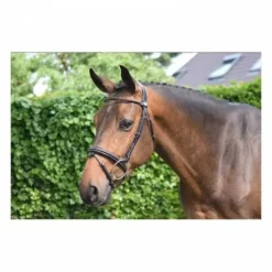 Bridon Wednesday muserolle combinée - Collection Week - Jump'in