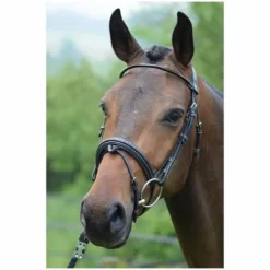 Bridon Wednesday muserolle combinée - Collection Week - Jump'in