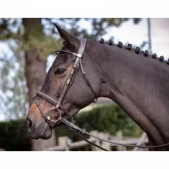 Bridon Wednesday muserolle combinée - Collection Week - Jump'in