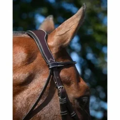 Bridon Wednesday muserolle combinée - Collection Week - Jump'in