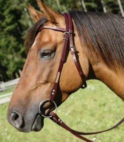 Bridon Western Virginia Waldhausen