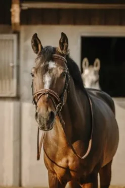 Bridon Work - Eric Thomas