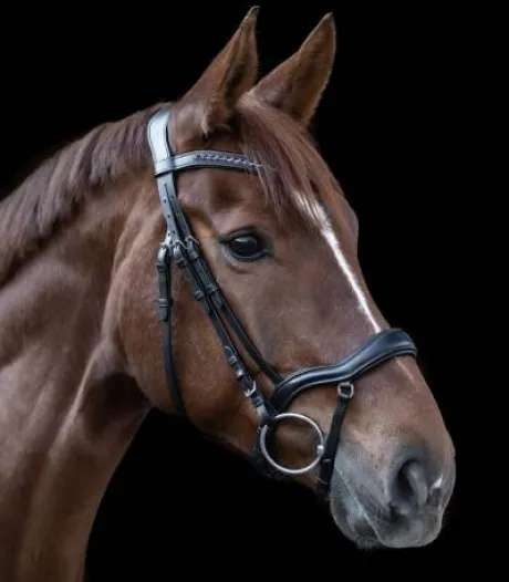 Bridon X-Line New Shape II Waldhausen