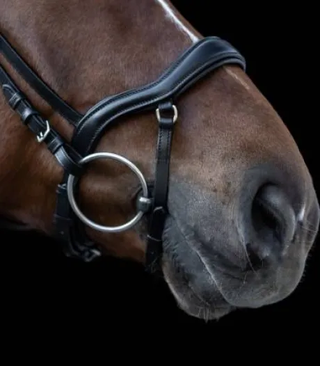 Bridon X-Line New Shape II Waldhausen