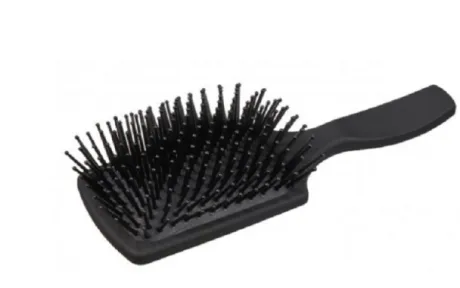 Brosse à crins noir lemieux
